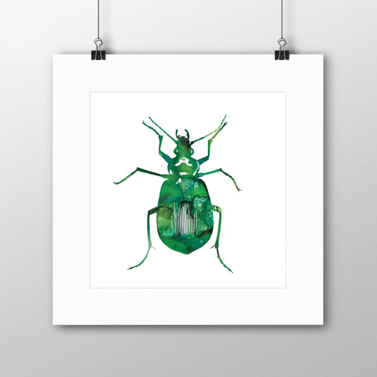 Beetle Giclée Print